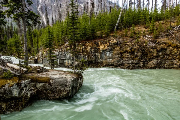 Pavillion Creek Átfolyik Márvány Kanyonon Kootney Nemzeti Park Brit Columbia — Stock Fotó