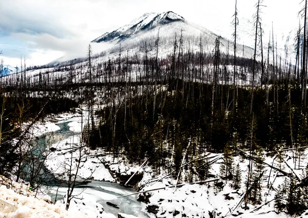 Vermillion Ranges Floe Creek Kootney Nemzeti Park Brit Columbia Kanada — Stock Fotó