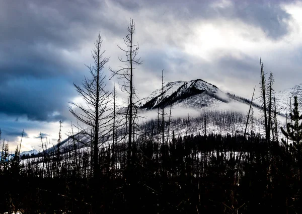 Vermillion Ranges Floe Creek Národní Park Kootney Britská Kolumbie Kanada — Stock fotografie