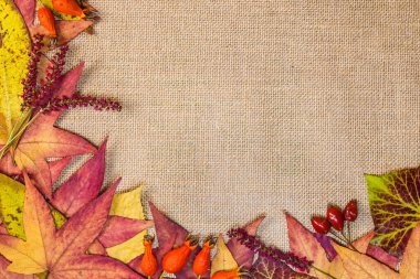Çuval bezinde sonbahar yaprakları. Yapraklar solda ve altta. Arkaplan