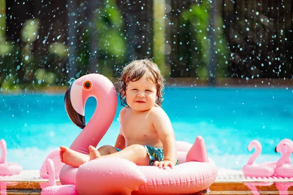 Baby boy sitting on the edge of the swimming pool with pink flamingo Stock Picture