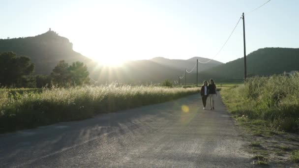 Лесбіянки Разом Подружжям Прогулювалися Горах Під Час Заходу Сонця Лгбт — стокове відео