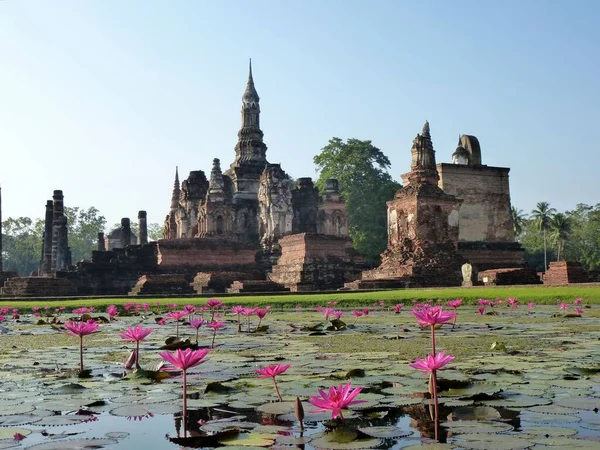 Csodálatos Wat Mahathat Sukhothai Történelmi Parkban Egy Lótuszvirágokkal Teli Mögött — Stock Fotó
