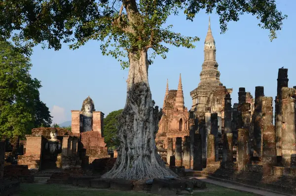Vue Panoramique Wat Mahathat Dans Parc Historique Sukhothai — Photo