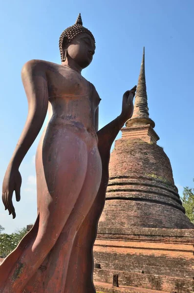 Sétáló Buddha Szobor Úgy Tűnik Hogy Nyomja Chedi Történelmi Park — Stock Fotó