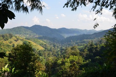CHiang Rai 'de güzel bir gezi izlenimi.
