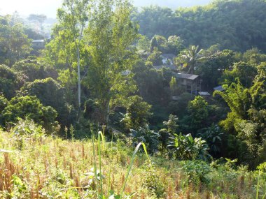 CHiang Rai 'de güzel bir gezi izlenimi.