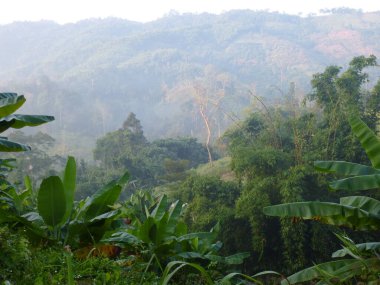 CHiang Rai 'de güzel bir gezi izlenimi.