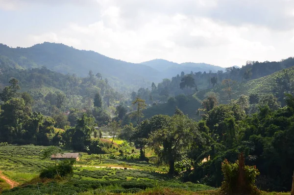CHiang Rai 'de güzel bir gezi izlenimi.