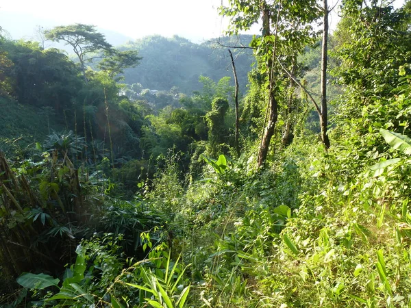 Imponering Vacker Vandringstur Runt Chiang Rai — Stockfoto