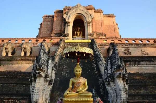 Golden Buddha Staty Sitter Framför Phra Chedi Luang Gång Den — Stockfoto