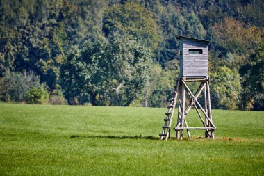 Deerstand bir orman önünde bir çayır üzerinde