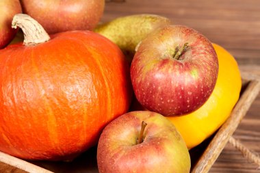 Kabak ve elma sonbahar meyve bir tablo olarak