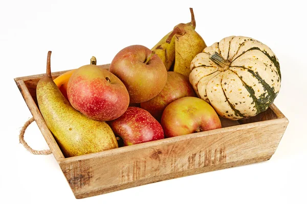 Elszigetelt kosár tele őszi gyümölcsök — Stock Fotó