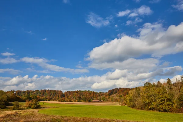 Schöne Herbstlandschaft mit Wald und blauem Himmel — Stockfoto