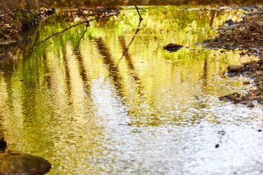 Bir little Nehri su yansıma