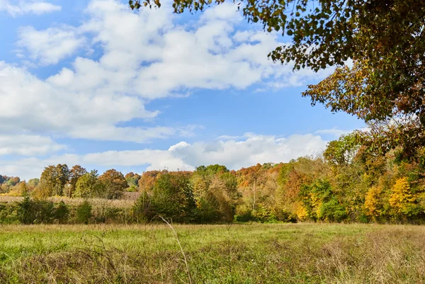 Beau paysage d'automne avec forêt et ciel bleu — Photo