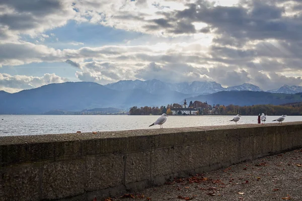 Güneş ışınları Gmunden Schloss Orth üzerinde — Stok fotoğraf