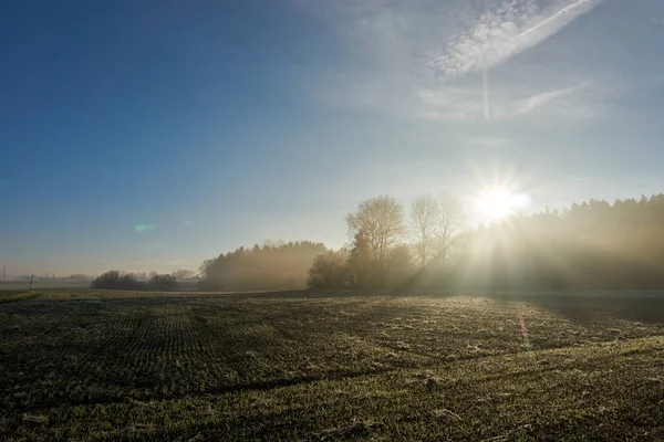 Vue panoramique du soleil du matin sur le champ — Photo