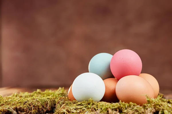 Pastel colored easter eggs on moss — Stock Photo, Image