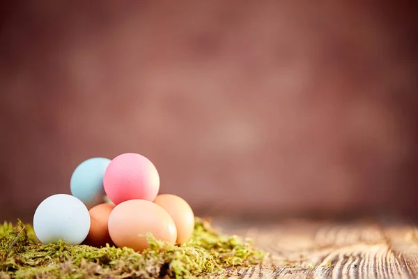 Huevos de Pascua de color pastel sobre musgo —  Fotos de Stock