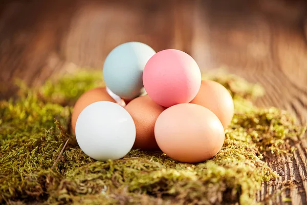 Pastel easter eggs on green moss on table — Stock Photo, Image