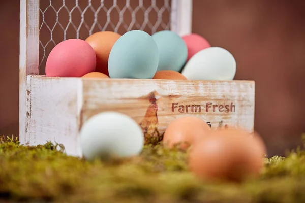 Çiftlik taze pastel Paskalya yumurtaları — Stok fotoğraf