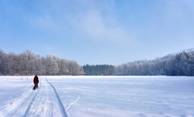 Güzel kış manzarası ile beyaz ağaçlar