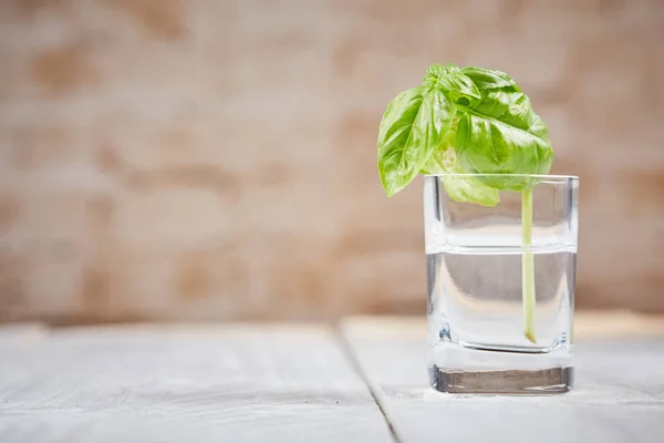 Basil on white table in front of brick wall — Stock Photo, Image