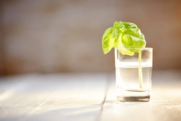 Basil on white table in front of brick wall — Stock Photo, Image