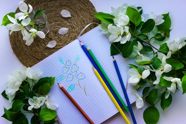 Elma çiçeklerinin bir taslağı bir deftere çizilir. Yakınlarda renkli kalemler ve elma ağaçlarından çiçekler olan dallar var. Bahar çiçekli cam bir meyve dalında