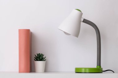 Lamba, kitap ve sulu şeyler beyaz bir rafta. Ev dekorasyonlu iç duvar ve boş beyaz arka planda mobilyalar.