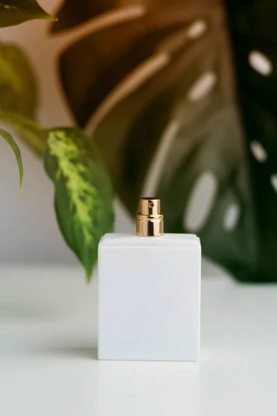 白色的瓶装香水 白桌上有热带绿叶 有选择的重点 — 图库照片