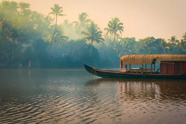 KOCHI, INDIA - 5 Şubat 2017: Geleneksel bir tekne Kerala 'nın Backwaters, Hindistan' daki bir balıkçı gölünün kıyılarına demir atmıştır. Durgun sular yoga inzivaları ve doğa severler için popüler bir yerdir.