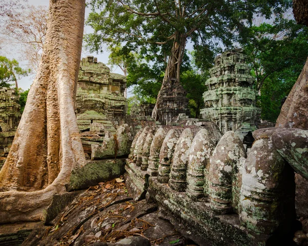 Telhado Templo Phrom Angkor Camboja Com Árvores Crescendo Através Das — Fotografia de Stock