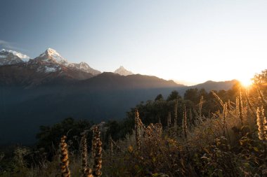 Himalayalar 'daki Annapurna dağ sırasının Panoraması, Nepal' deki Poon Hill yürüyüş noktasından.
