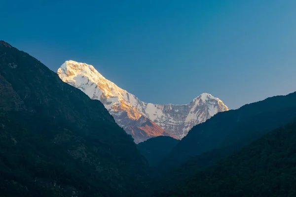 Cima Montaña Machapuchhare Cordillera Del Himalaya Vista Desde Sendero Trekking —  Fotos de Stock