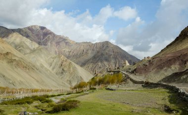 Budist tapınağı olan Shan Vadisi yeşil tarlalarının Panoraması, Himalaya dağ sırası, Ang, Ladak, Hindistan 'da popüler bir yürüyüş noktası.