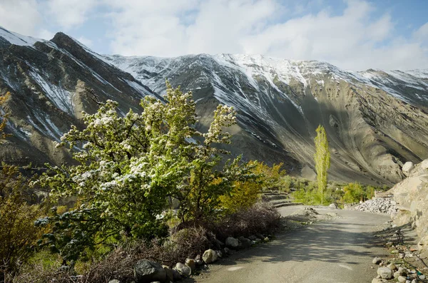 Árvores Cobertas Neve Casas Tradicionais Shan Valley Serra Seca Leh — Fotografia de Stock