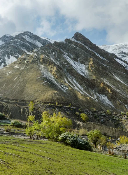 Shan Vale Área Verde Agrícola Com Campos Cultivo Álamo Árvores — Fotografia de Stock