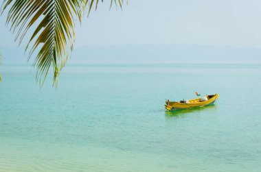 Small motor fishing boat waiting for the tide in shallow water, near a tropical beach with palm trees, in Havelock Island, Andaman and Nicobar archipelago, India clipart