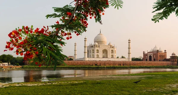 Mausoléu Taj Mahal Agra Índia Visto Outra Margem Rio Yamuna — Fotografia de Stock