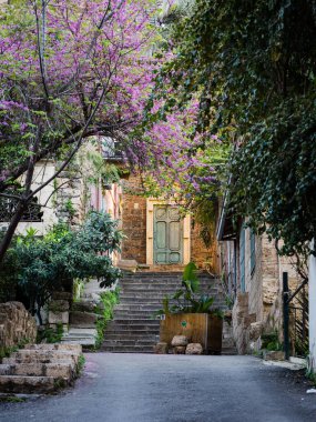 Beyrut, Lübnan 'daki Sursock Sarayı' nın yakınındaki ağaçlı ve merdivenli güneşli antik kapı.
