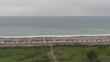 Güzel ve dalgalı Karadeniz 