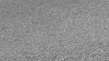 Güzel ve dalgalı Karadeniz