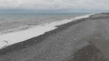 Dalgalı Karadeniz 'in üzerinde uçan martılar