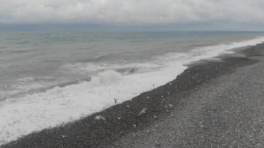 Dalgalı Karadeniz 'in üzerinde uçan martılar