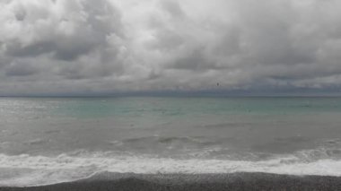 Dalgalı Karadeniz 'in üzerinde uçan martılar