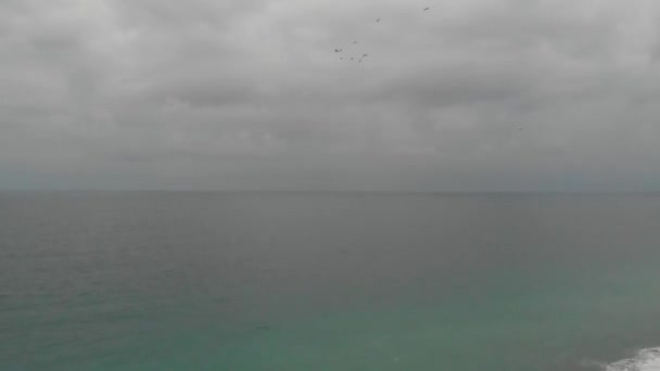 Seagulls Flying Wavy Black Sea — Stock Video