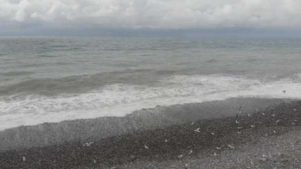 Gaivotas Voando Acima Mar Negro Ondulado — Vídeo de Stock